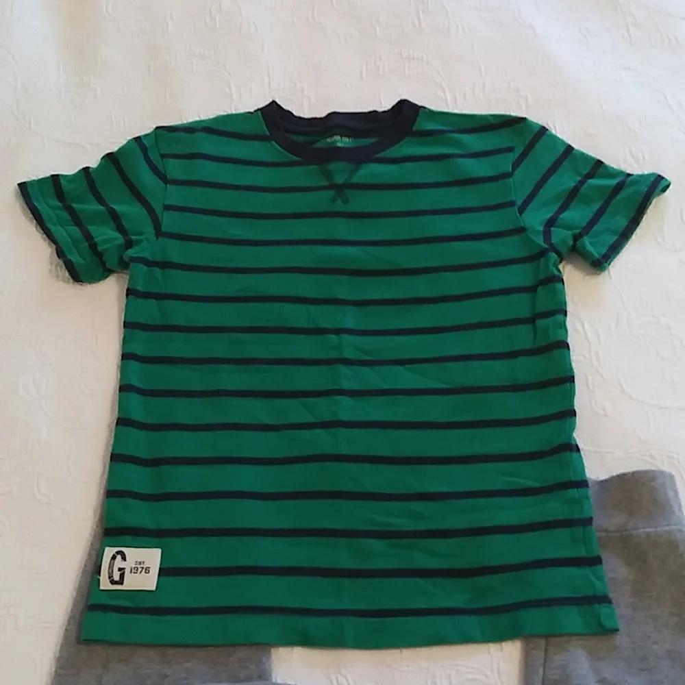 Boys bundle of Gymboree Tshirt size 10 & Champion Grey sweats joggers size 10/12 - Picture 5 of 10